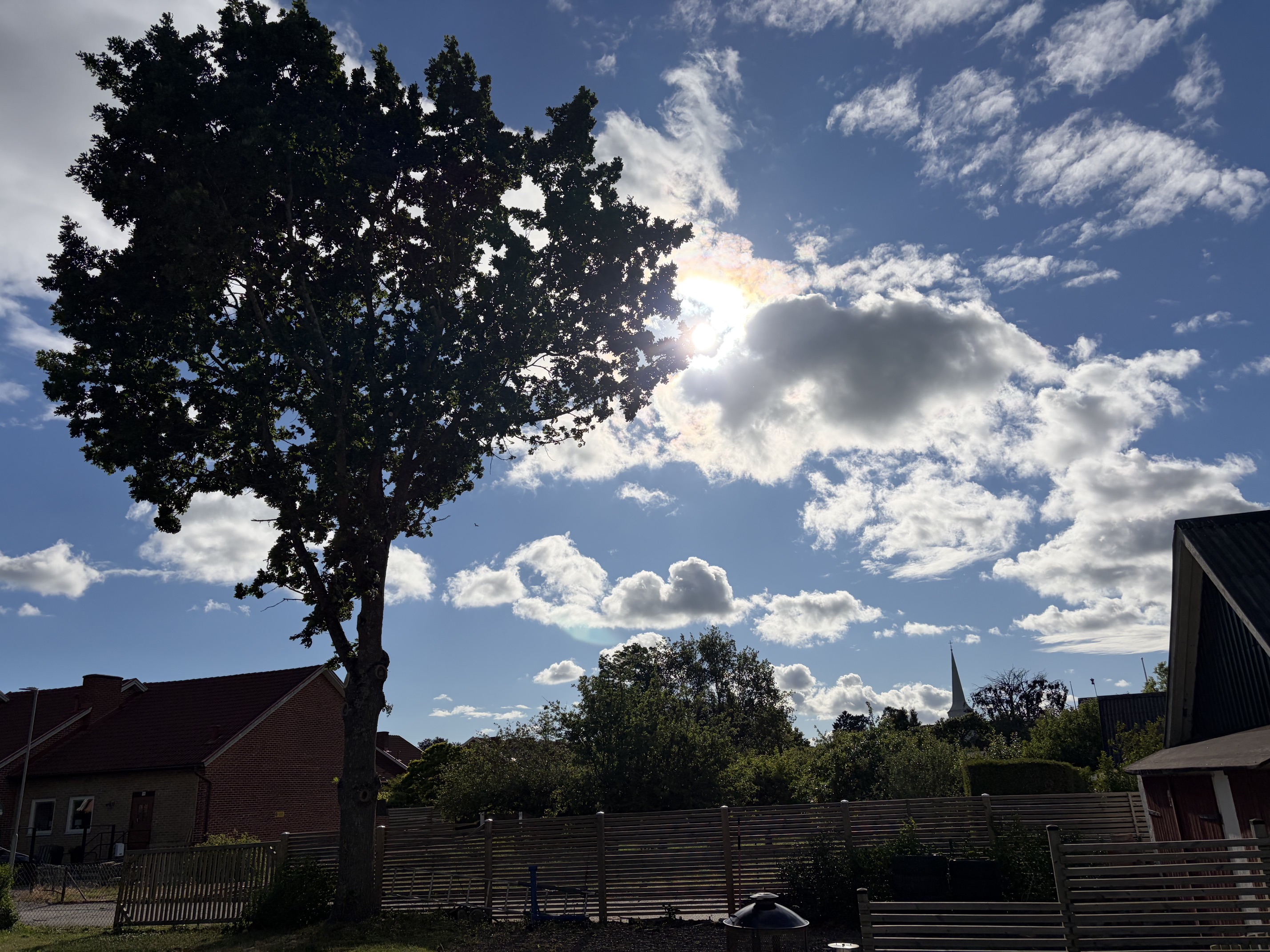 Efter beskärning och trädvård